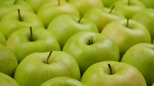 Appetizing Close Up of Fresh, Ripe Green Apples
