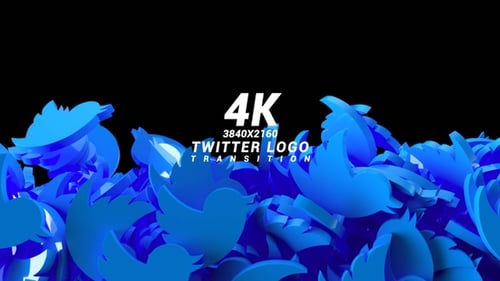 Animated 3D Social Media Bird Logo Fill