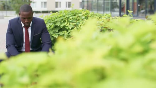 Businessman Working on Laptop in Urban Environment