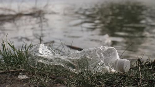 Discarded Plastic Bottle Picked Up on Riverbank