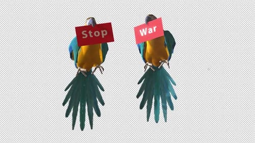 Animated Parrots Holding 'Stop War' Signs