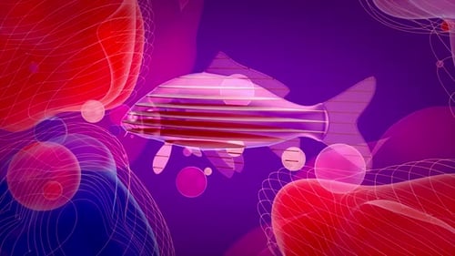 4K abstrakter Hintergrund eines Fischkonzepts