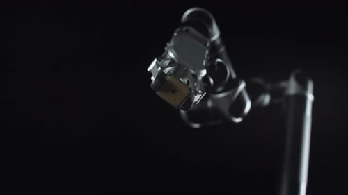 Robotic Arm Holding Microchip