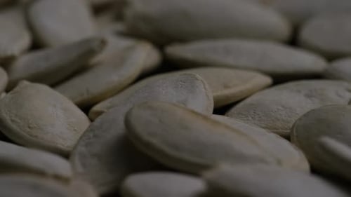 Cinematic, rotating shot of pumpking seeds - PUMPKIN SEEDS 019
