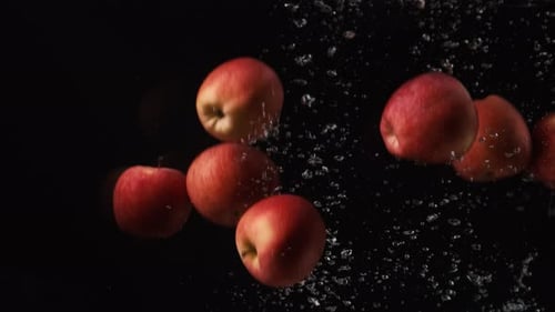 Rote Äpfel mit Wassertröpfchen kollidieren auf schwarzem Hintergrund. Früchte fallen ins Wasser. Roter Prinz