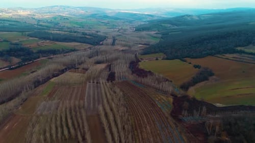 Scenic Aerial View of Farmland and Forest