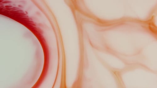 Fluid Abstract Motion Background
