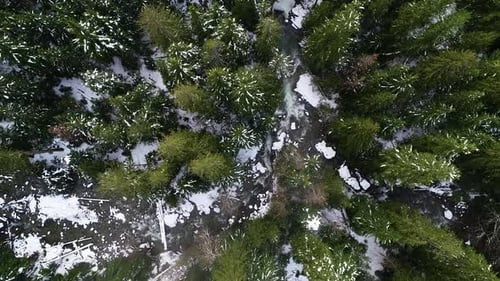 Deception Falls Stevens Pass Washington Aerial View Raging River Through Tall Evergreen Forest
