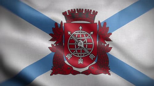 Waving Flag with Detailed Emblem Animation