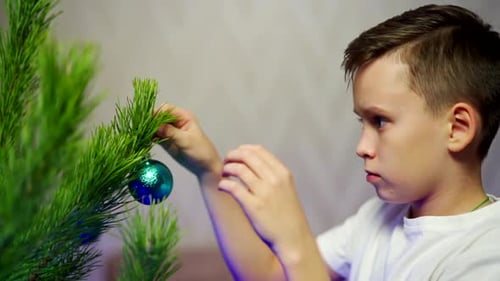 Young Boy Decorating a Christmas Tree at Home
