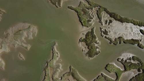 Top Down View Of Nature Reserve Area With Swamp, Water, Green Grass And Trees - drone shot