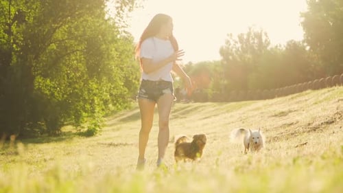 Happy Woman Playing With Dog In The Park. Beautiful Girl Runs with a Puppy during Sunset