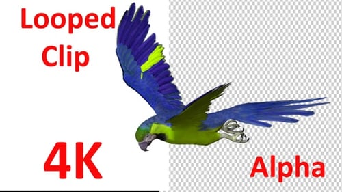 Mosca circular realista Parrot