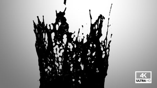 Fluid Black Ink Splash Dynamic Transition