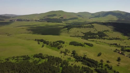 Drone footage of green mountain fields with young and small pine forest, flyover