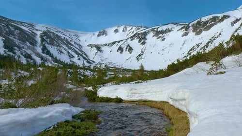 Spring Creek in den Bergen