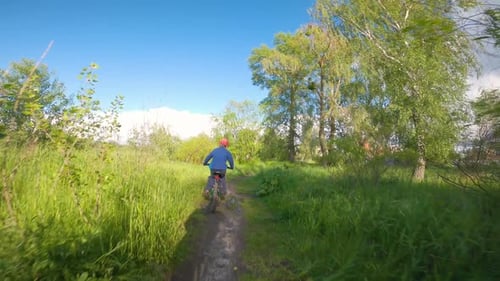 A Boy Rides a Bicycle on a Path in the Forest. The Road in the Spring Park.