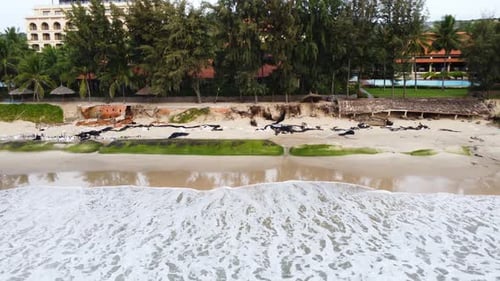 Mui ne eroding beach scene, Vietnam. Aerial flying