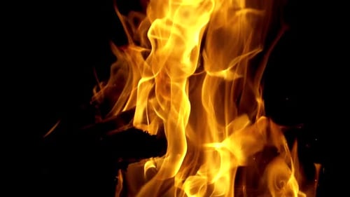 Campfire Burning at Night