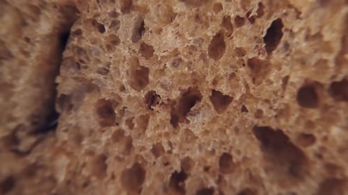 Macro Shot of Porous Bread Texture