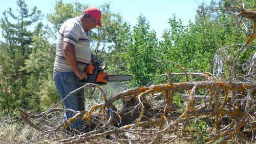Man Cutting Branches With Chainsaw Outdoors