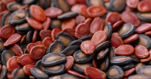 Mix Black and red melon dry seed for chinese new year