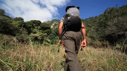 Couple Hiking on Dirt Path Through Lush Nature