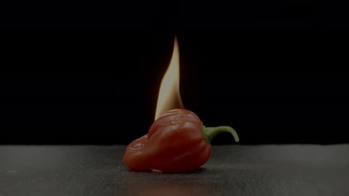 Burning Red Pepper on Dark Background