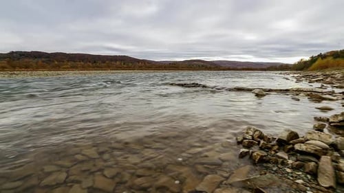 Wild Mountain River Close Up Abundant Clear Stream. Detail Static Shot of Babbling Creek with Stone