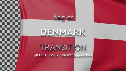 Realistic Waving Flag Reveal Transition