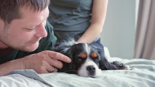 Un couple d'amoureux d'apparence européenne est assis sur un lit dans une chambre moderne et confortable avec leur chien bien-aimé