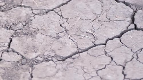 Cracked Dry Soil in Drought Conditions