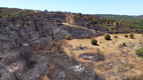 Aerial drone view of burned forest next to the road. Dark land and black trees caused by fire.
