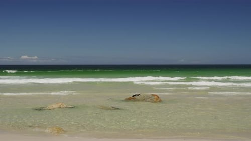 Tropical Beach with Waves Hitting the White Sand Beach, South Africa