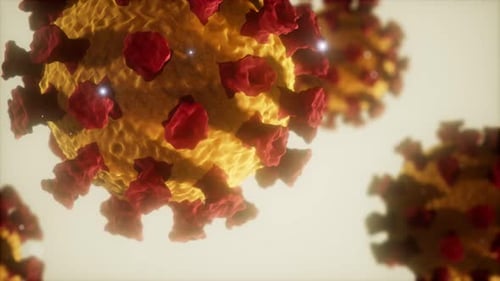 Coronavirus COVID-19 Medical Model