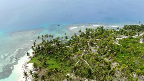 Caribbean White Unspoiled Sandy Beach