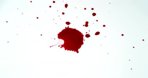Blood Dripping against White Background, Slow Motion 4K