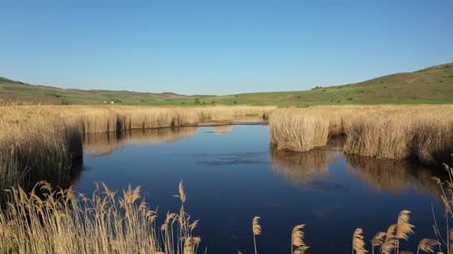 Lac couvert de Reeds