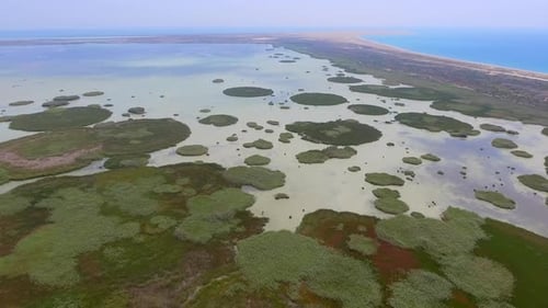 Marshland Meets Ocean From Above