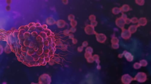 Microscopic View of Cell Division and Growth Animation