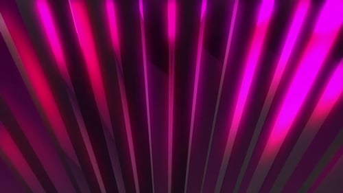 Dynamic Pink Neon Lines Abstract Loop Background