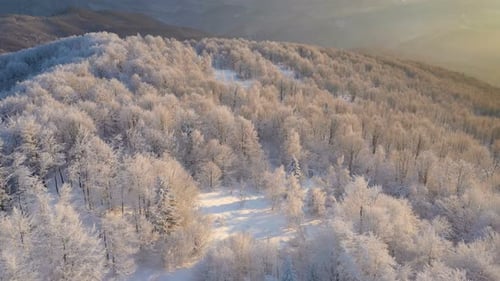 Winter Sunrise Above The Mountain Forest 3