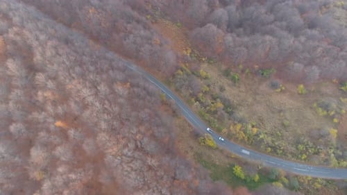 Drone Chasing Cars Driving on Asphalt Road Uphill in Mountain Forest in the Autumn