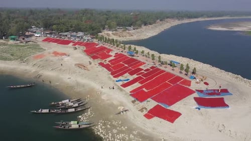 Vue aérienne d'un champ de poivrons rouges, province de Rajshahi, Bangladesh.