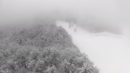 Vue aérienne d'une forêt gelée avec des arbres enneigés en hiver pendant un voyage brumeux