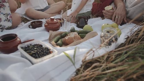 Family Picnic in a Golden Field