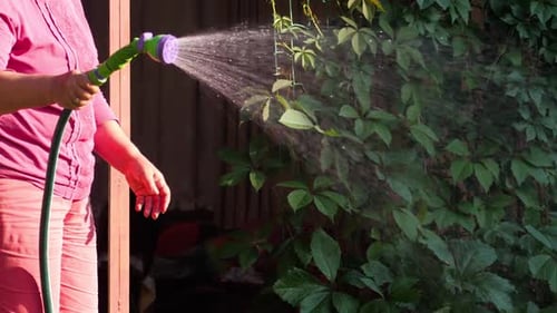 Pulverizador manual de jardim