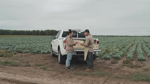 Demonstrating Vegetables To Buyer