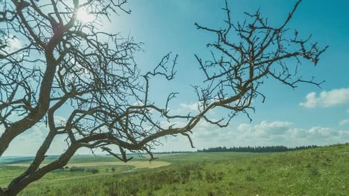 Time Lapse of clouds over green rural landscape with trees and green hills