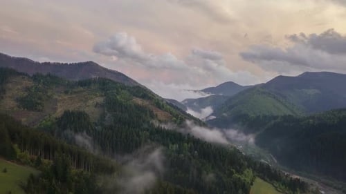Aerial Misty Forest in Evening